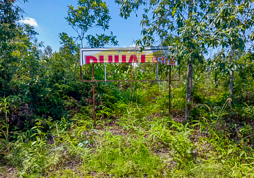 TANAH DI KAB. BANGKA BARAT - NPL100-4 - foto utama
